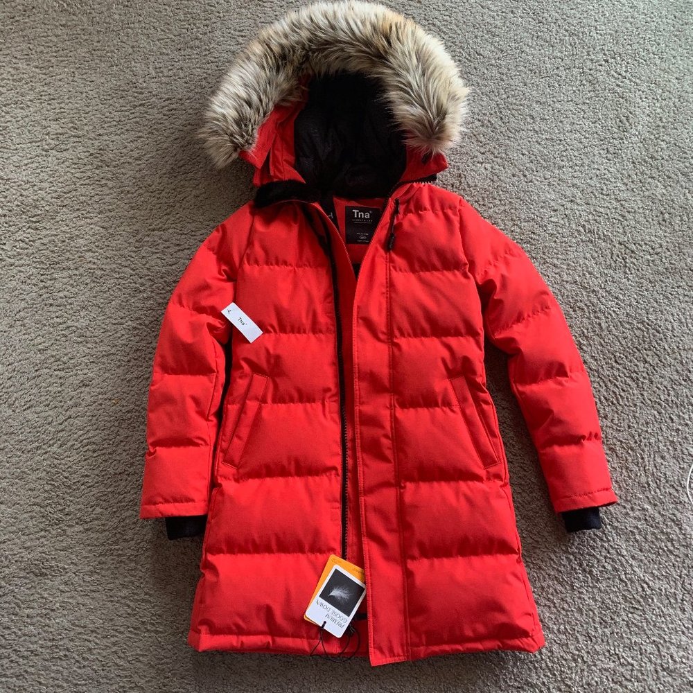 Aritzia TNA  St. Anton Parka XXS